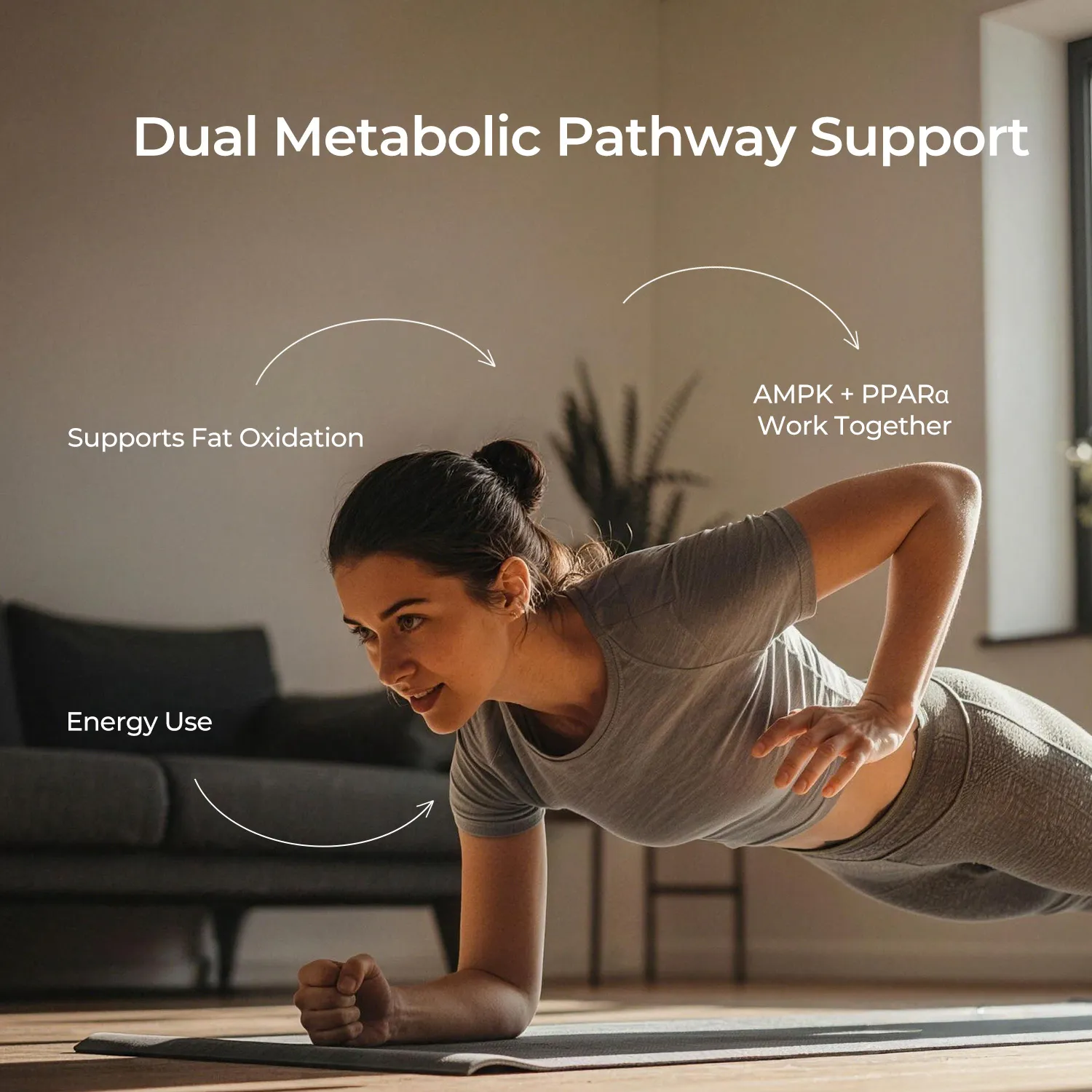 AMPK METABOLIC SUPPORT - Image 2