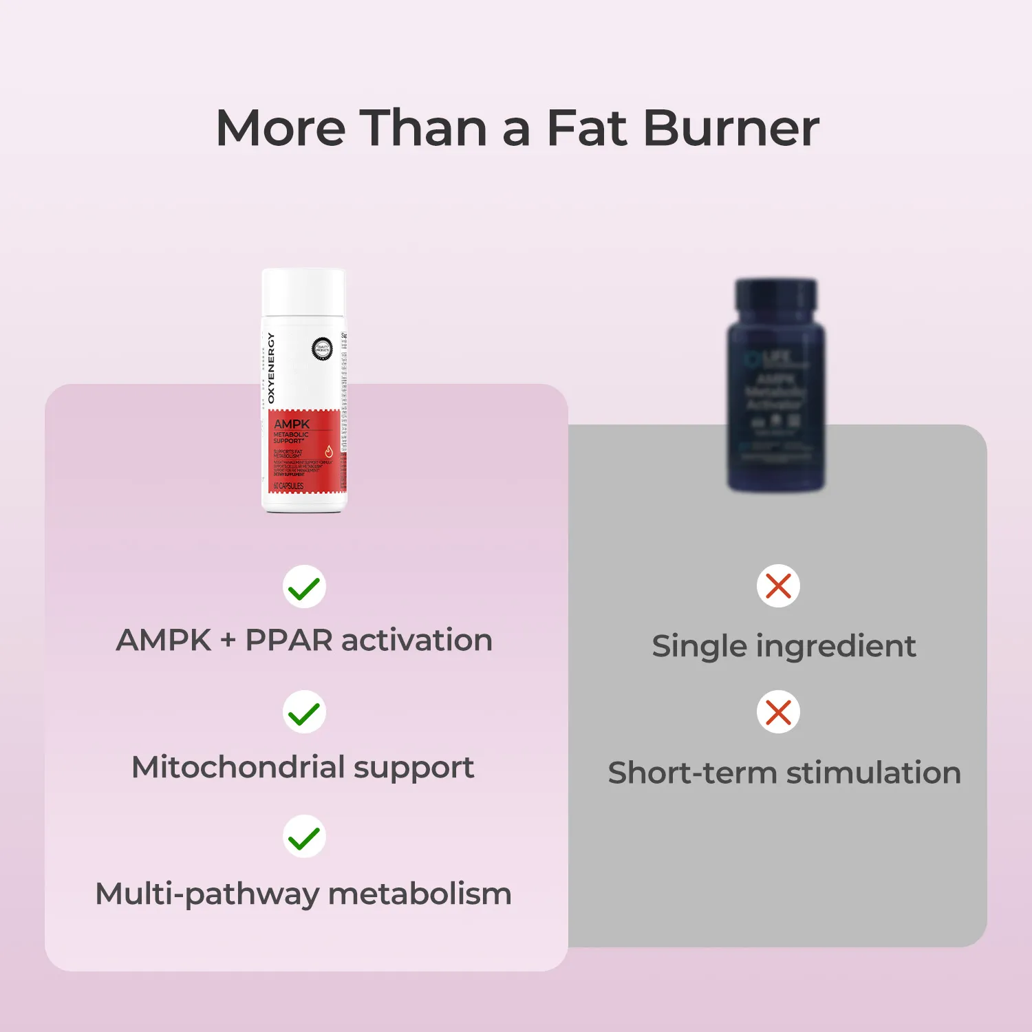 AMPK METABOLIC SUPPORT - Image 5