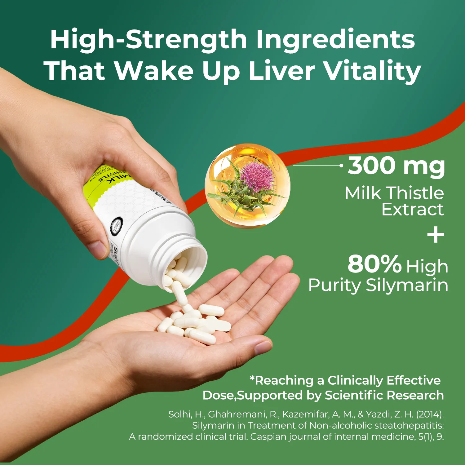 MILK THISTLE 90 CAPSULES - Purification & Detoxification - Image 5